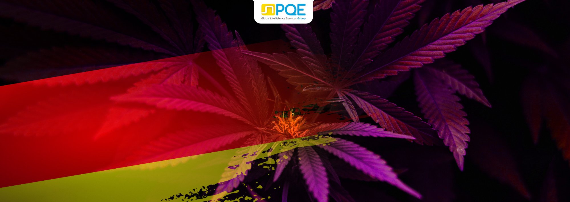 Cannabis Revolution Germany_Site PQE