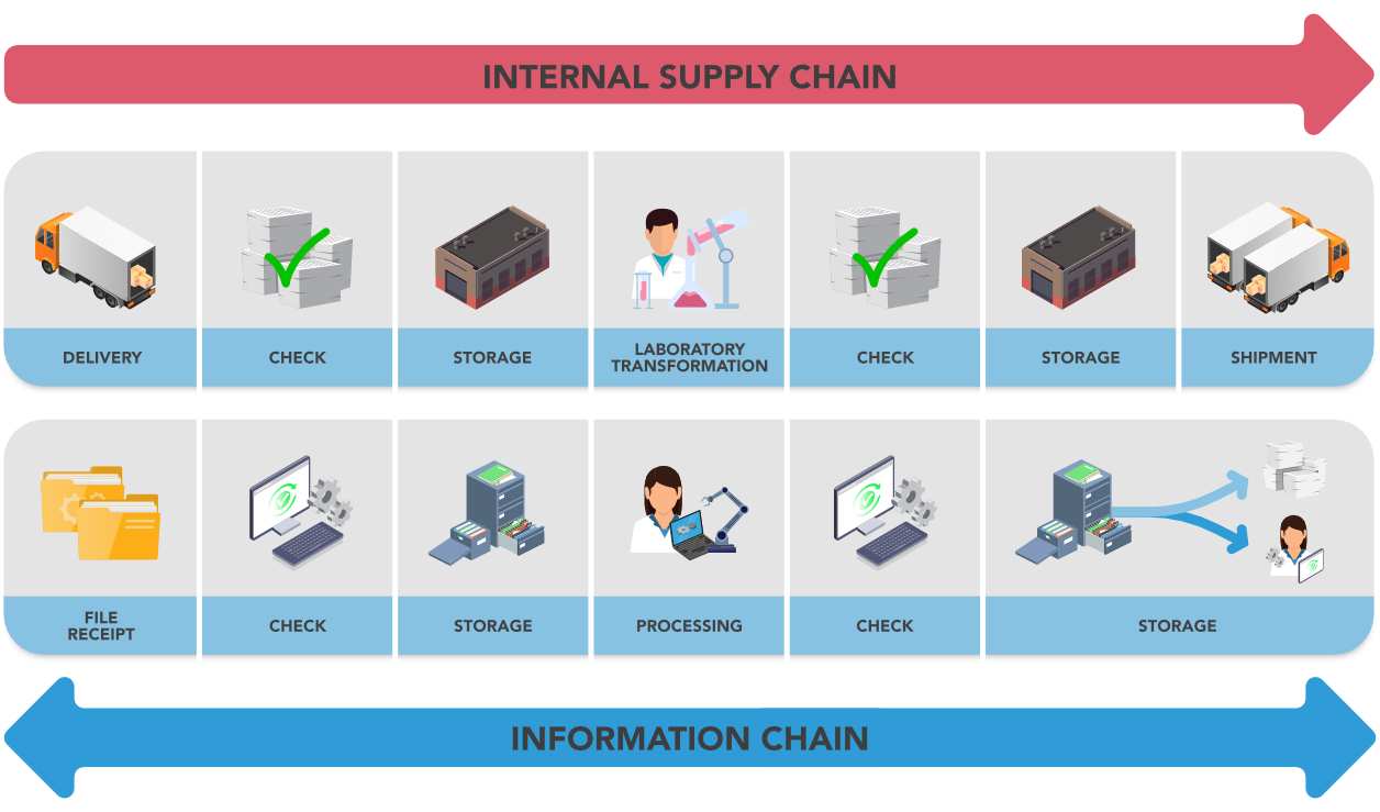 Diagram2_supply chain