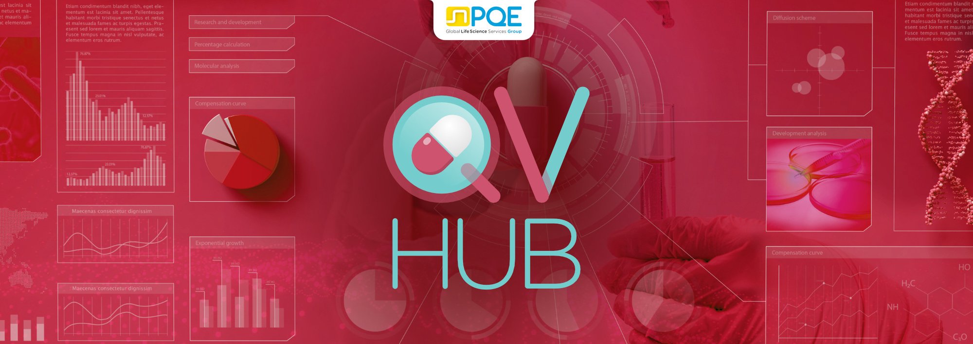 QV Hub_Site Banner