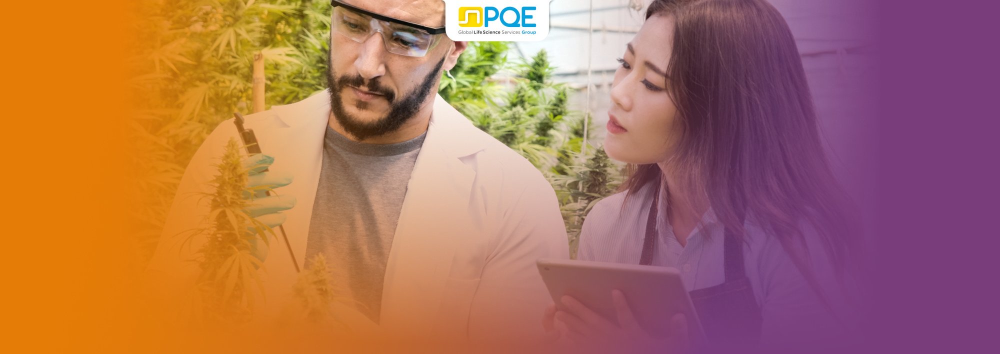 Quality Control Medical Cannabis_Site PQE_1